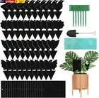 60 Pcs Sticky Dual-Sided Gnat Traps, Black Fruit Fly Sticky Traps and Plant Fung