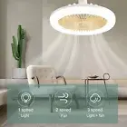 30W Light Small Aromatherapy Ceiling Fan Light E27 LED Fan Light JJ