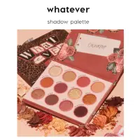 在飛比找蝦皮購物優惠-🙋🏻‍♀️現貨在台✨Colourpop whatever s