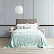 Renee Taylor Heston 480 GSM Ultra Soft Velvet Sherpa Blanket - BLUE