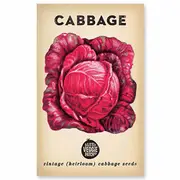 The Little Veggie Patch Co Cabbage Heirloom Seeds