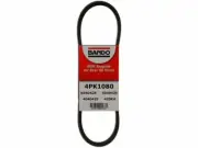 Multi Rib Belt 9NMD48 for Jaguar XJ12 XJS XJRS 1993 1994 1995 1996 (for: Jaguar)