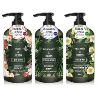 在飛比找PChome24h購物優惠-沛特斯洗髮精550ml