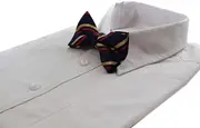 Mens Navy, Gold & Red Striped Bow Tie