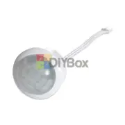 2pcs Motion Detection Sensor Light Switch LED Infrared Human Body Induction -