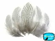 6 Pieces Large Natural Silver Pheasant Barred Plumage Feathers Fly Tying Jewelry