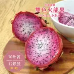 【禾鴻】花蓮高寮雙色火龍果10斤X1箱(12粒裝/盒)