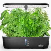 Compact Hydroponic Growing System with Auto Water Circulation & Nutrients
