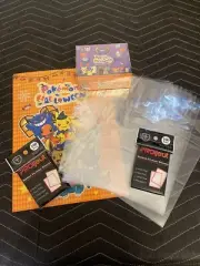 Pokémon Halloween 2024 Cracked Ice Database Card Set W/binder&Sleeves Master Set