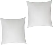 BESTYASH 2pcs Square Pillow Inserts for Sofa Decorative Pillowcase Inner Comfortable Throw Pillow Stylish and Versatile