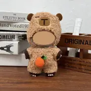 Labubu doll clothes 17cm canvas blind box pendant, first and second generation vinyl plush toy set——colour:LBB-15,height:17cm