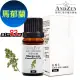 【 ANDZEN 】單方純精油5ml-馬郁蘭 天然 草本