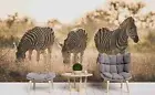 3D Savanna Zebra Wallpaper Wall Mural Removable Self-adhesive 78