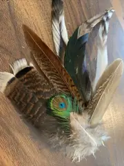 7pcs Natural 10-28cm Mixed Pheasant Rooster Turkey Feathers Decor DIY Art Craft