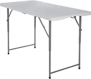 Vampire Killer 4ft Plastic Folding Table, Indoor Outdoor Heavy Duty Portable Handle, Lock for Picnic, Party, Pong, Camping - White (4ft)