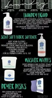 Scentsy LAUNDRY Washer Whiffs Liquid Detergent, Dryer Disks FRESH fabric spray