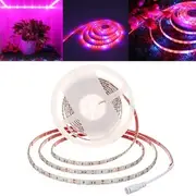 5M SMD5050 Waterproof Full Spectrum LED Plant Grow Strip Light for Greenhouse Aquarium DC12V 7184 EU PLUG