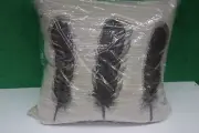 Pillow Squarefeathers ( Dakota Feathers) 20X20