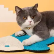 Durable Cactus Cat Scratching Mat - Protect Furniture and Keep Cats Healthy