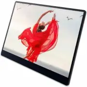 Ricoh 150BW 16" Class OLED Touchscreen Monitor - 1 ms