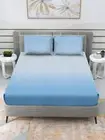 250 TC Satin Cotton Queen Flat Bedsheet With 1 Bedsheet 2 Pillow Covers Turquois