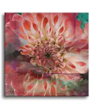 Ready2HangArt Painted Petals XXIX Wrapped Canvas Wall Art