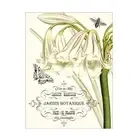 Vision Studio 'Jardin Botanique I' Canvas Art