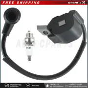 309266005 Ryobi RY38BP Replacement Ignition Module