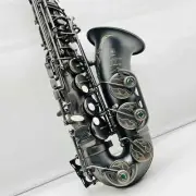 YAS-875EX Alto Saxophone Eb Tune Black Nickel Plated Sax Professional Saxophone