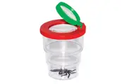 Bug Viewer