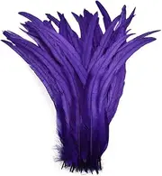 JMYLCTBD 50Pcs/Lot Colored Rooster Feathers Fly Tying Materials Indian Headdress Pheasant Chicken Feather 2 Royal Blue 30-35cm 12-14inch-4||25-30cm 10-12inch