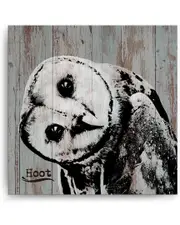 Ready2HangArt Hoot Wrapped Canvas Wall Art by Olivia Rose
