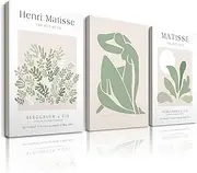 HesenDot Matisse Sage Green Framed Wall Art,Abstract Green Canvas Wall Decor.12x16in Plants Botanical Poster Prints,Minimalist Classic Home Decoration for Living Room Bedroom Bathroom Office,Set of 3