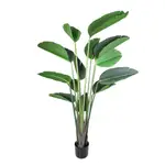 [Florabelle Living] Bird of Paradise 1.8m
