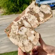 441GNatural Cherry blossom agate Crystal Rough slices stone specimens
