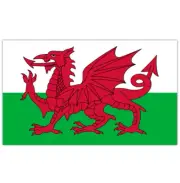 Zac's Alter Ego 5 x 3 Feet Welsh Flag with Brass Eyelets - Red Dragon of