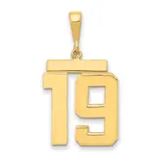 14k Yellow Gold Large Polished Number 19 Charm