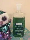 Bath & Body Works FREESIA Shower Gel DISCONTINUED
