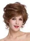Wig Women's Wig Short Wild Backcombed Wavy Light Brown Blonde Streaked DM02