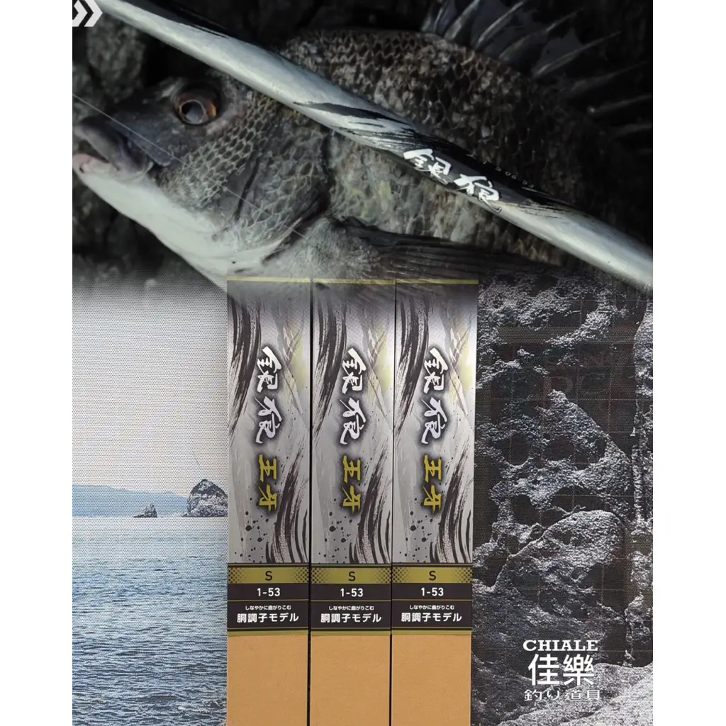 Daiwa銀狼王牙的價格推薦- 2026年06月|飛比價格