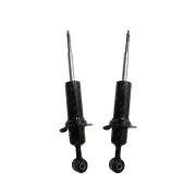 2 Front Roadsafe 4WD Nitrogen Gas Shocks for Mercedes Benz X220d X250d X350d 470