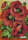 Bead Embroidery Kit DIY Beaded Needlepoint Beaded Stitching Poppies a5-d-072
