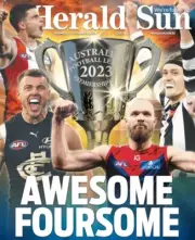 LAMINATED AFL FOOTBALL TEAMS POSTER, PIES DEMONS Carlton st kilda saints Colling
