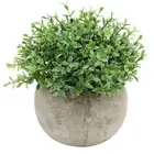 Mini Decorative Plastic Artificial Plants Grass in Pot for Decor