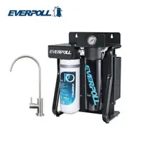 在飛比找樂天市場購物網優惠-EVERPOLL RO-900直出式極淨純水設備(RO900