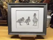 Drawing of a Duck Babies Baby in a row Graphite Pencil Art Sketch Picture Print