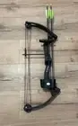 Compound Bow And 2 Arrows