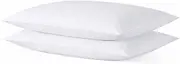 Medium Thin Flat Slim Ultra Soft Bed Pillows Queen Size Set of 2 Pack for Sleeping, Bed Pillow for Stomach Back and Side Sleepers, Machine Washable 20x28 inches