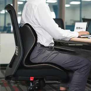日本 Style PREMIUM DX 健康護脊椅墊/坐墊/美姿調整椅 尊爵黑 頂級奢華款 (恆隆行福利品 一年保固)