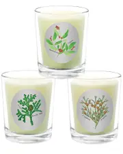 Qualitas Candles 3pc Candle Set - Cypress, Santalum, & Hinoki Tree